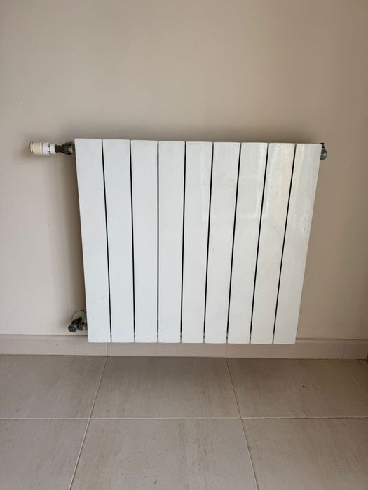 Radiadores de aquecimento central em excelente estado. 40 euros cada.
