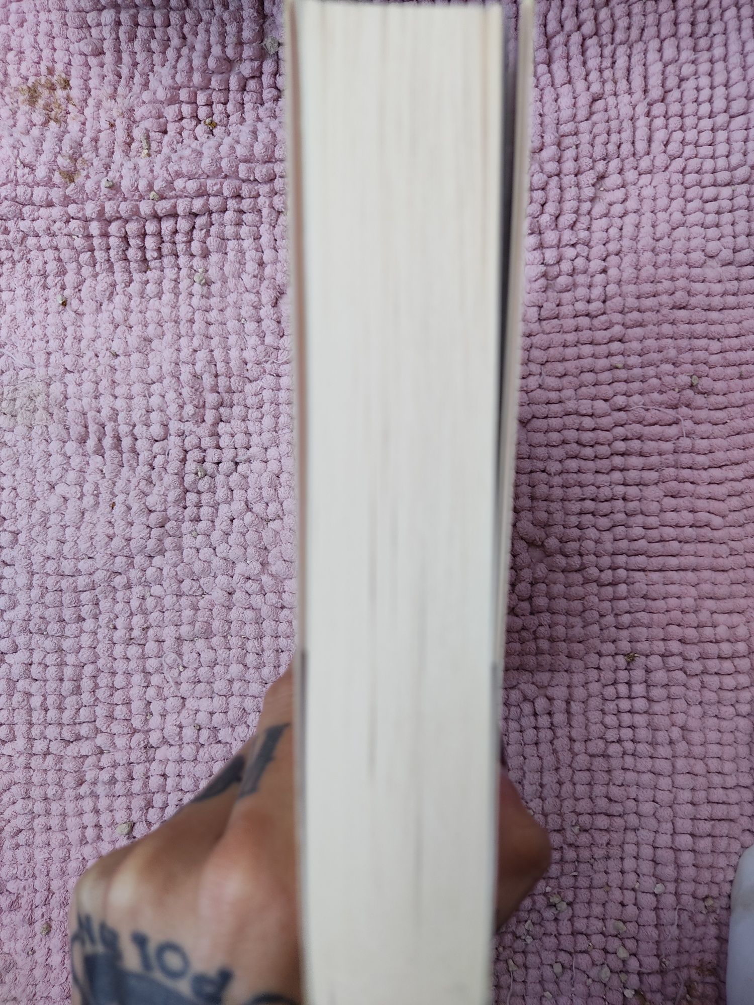 Madame Bovary de Gustave Flaubert