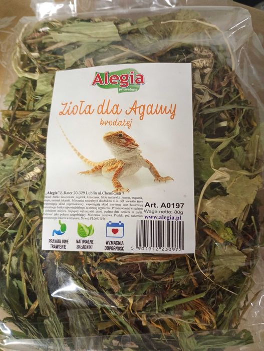 Zioła dla agamy brodatej