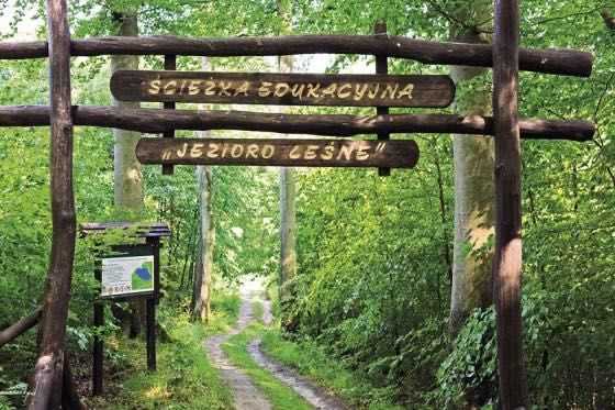 Domek "Przy Lesie SPA". 100 metrów od jeziora SAUNA BANIA JACUZZI