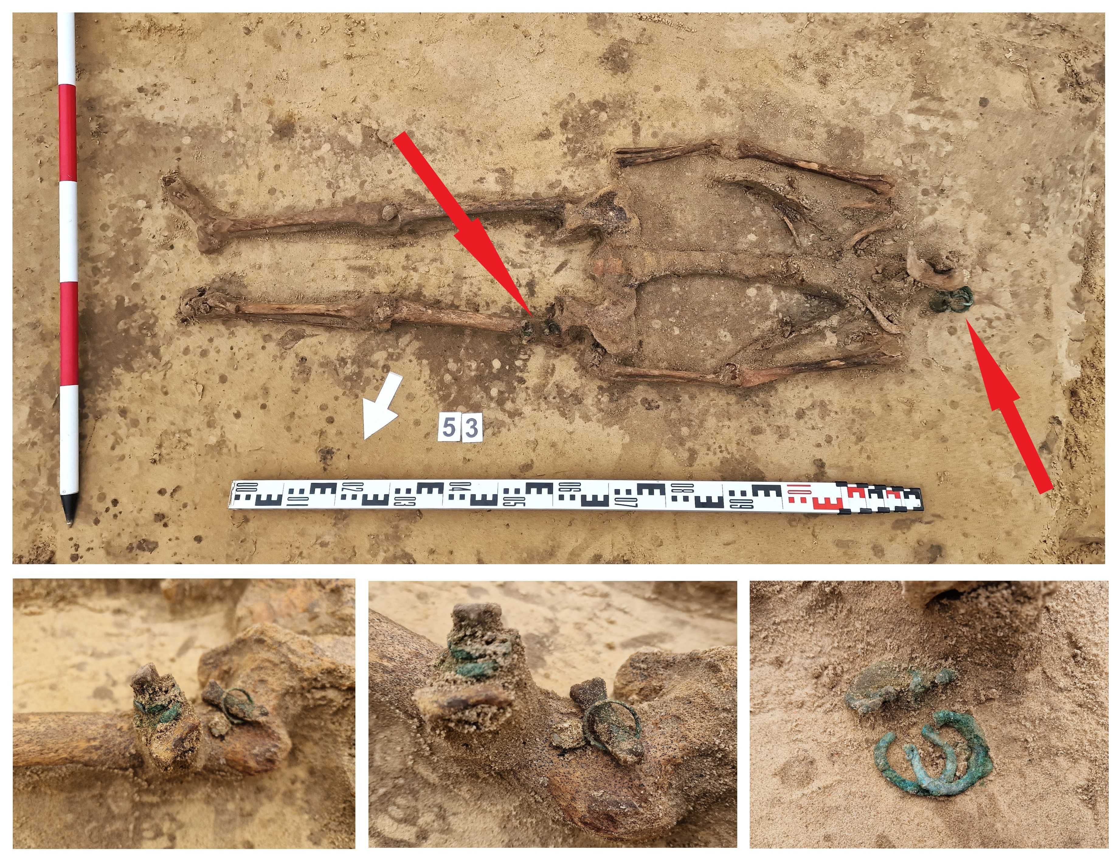 archeolog, nadzór archeologiczny, badania archeologiczne, Wodzierady