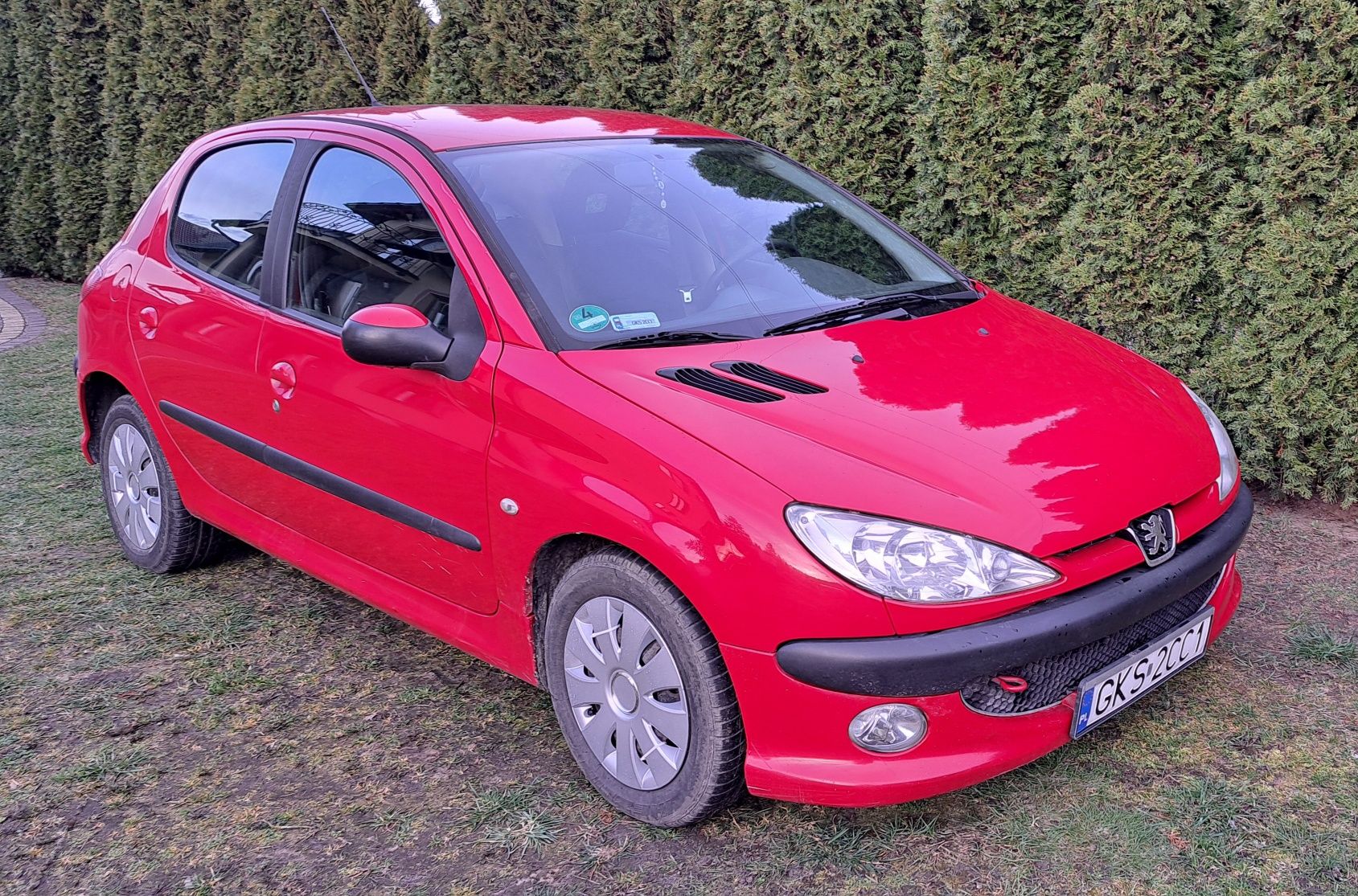 Peugeot 206 1.6hdi 2006r