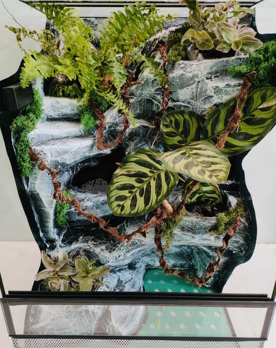 Terrarium dla jaszczurki z pełnym wyposażeniem TW09WSz