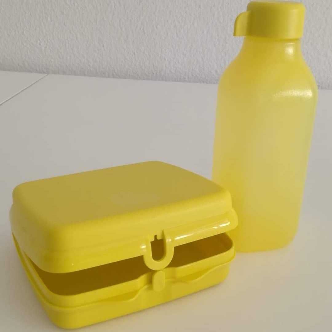 Conjunto garrafa e sanduícheira Tupperware