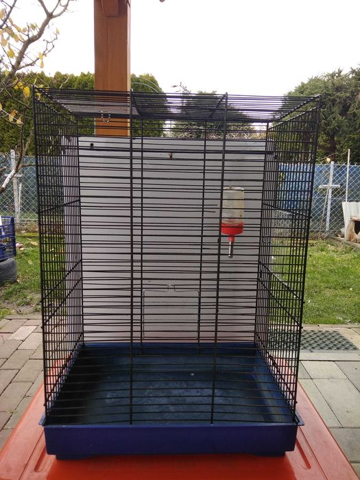 Klatka dla ptaszka ptaszków