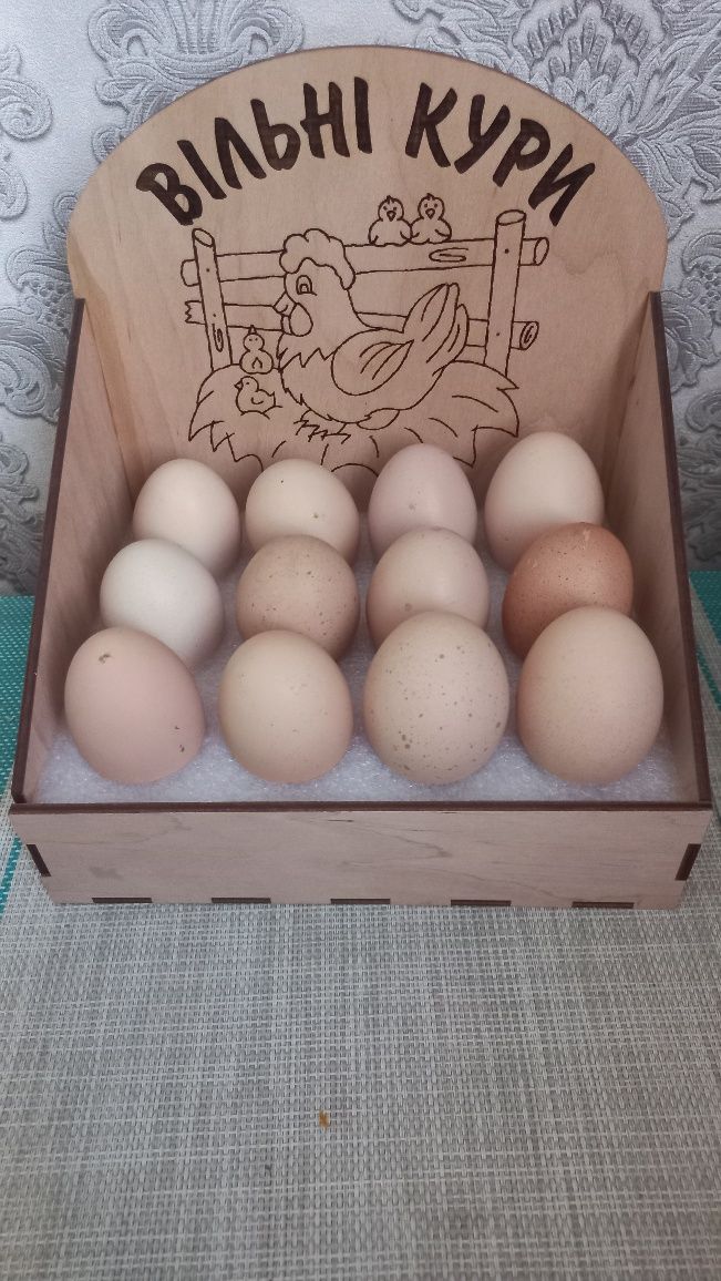Курячі яйця від домашніх курей.