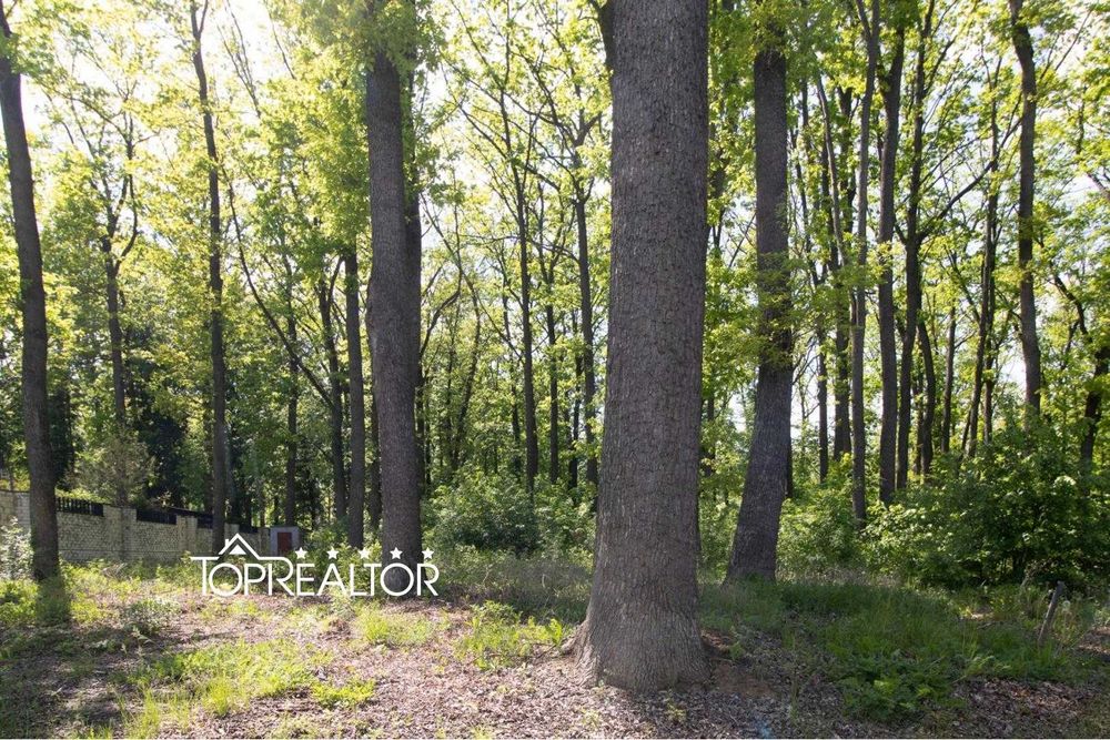 Продам участок  15 соток в коттеджном посёлке Роял Клаб лесопарк