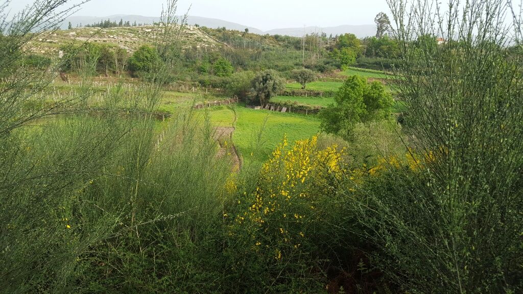 Terreno urbanizável, agrícola e florestal em Monção