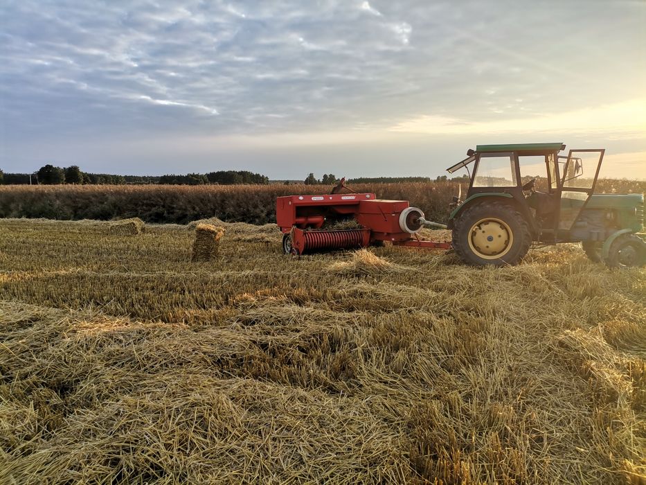 Słoma owsiana jęczmienna mała kostka sucha dowóz