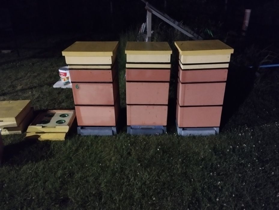 Trzy rodziny pszczele i 5 uli