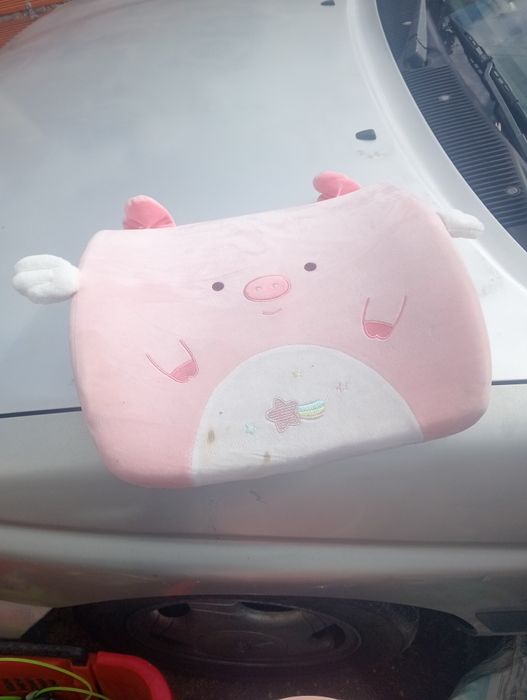 Banco para por no carro