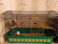 Продам клетку для грызунов