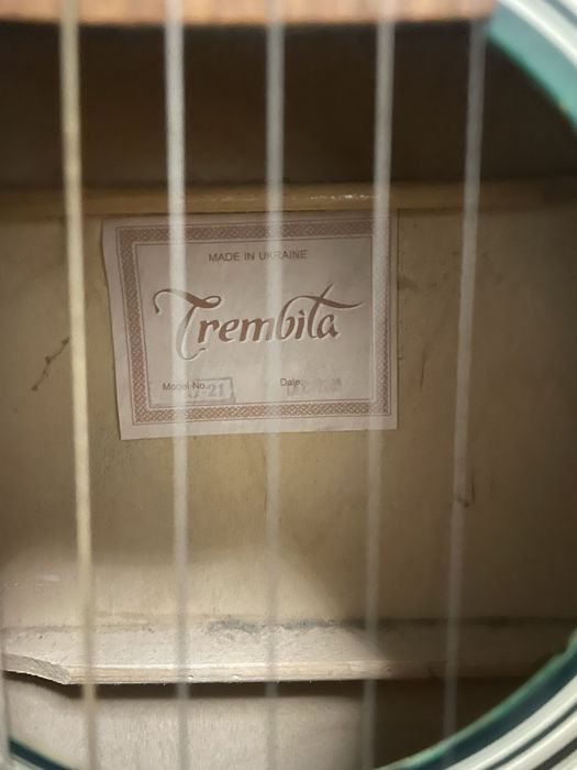 Гитара Trembita в подарок чехлом утеплением