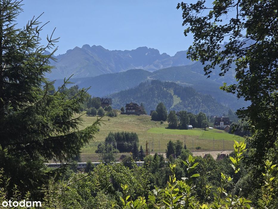 Stary dom na odludziu w Zakopanem