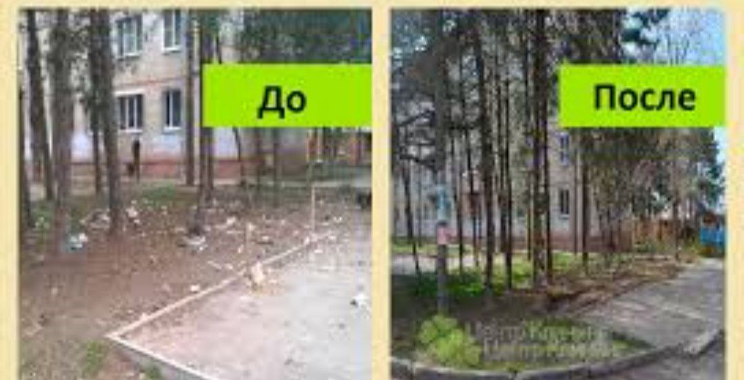 Уборка участков, спил деревьев , вывоз мусора