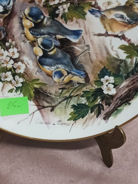 Hutschenreuther Ursula Band bradex kolekcjonerski ptaki