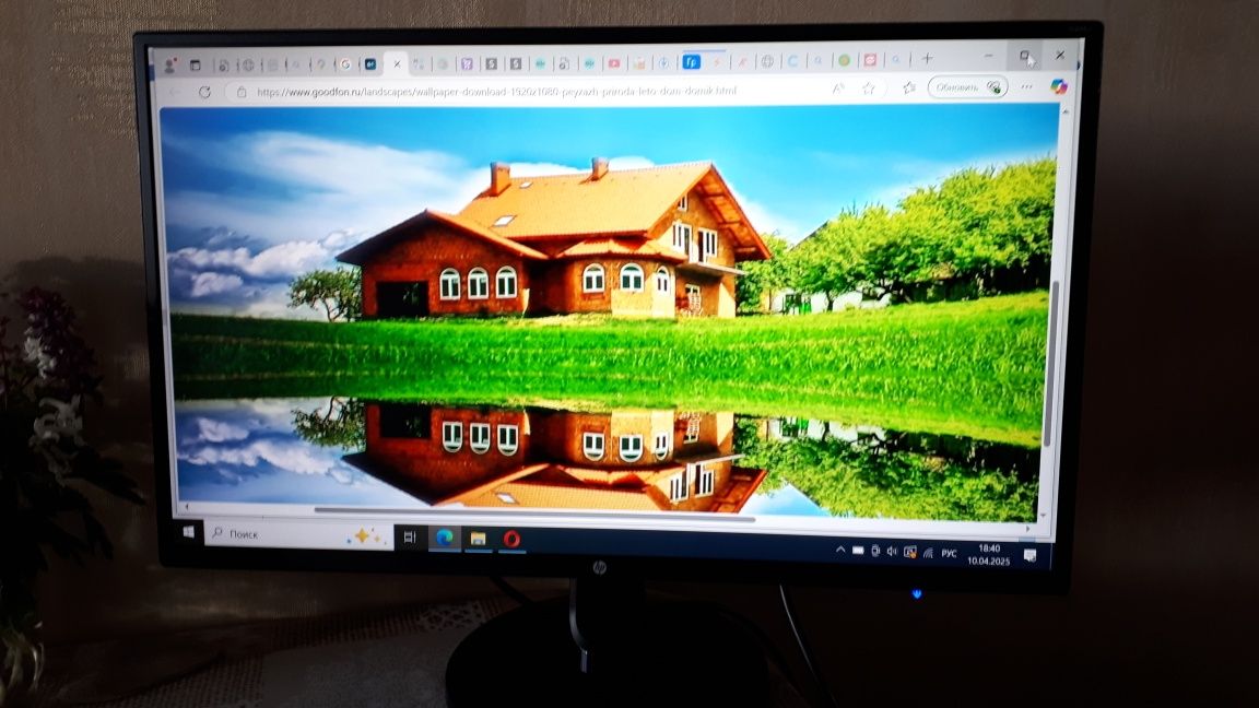 Монитор HP N246V 23,8"