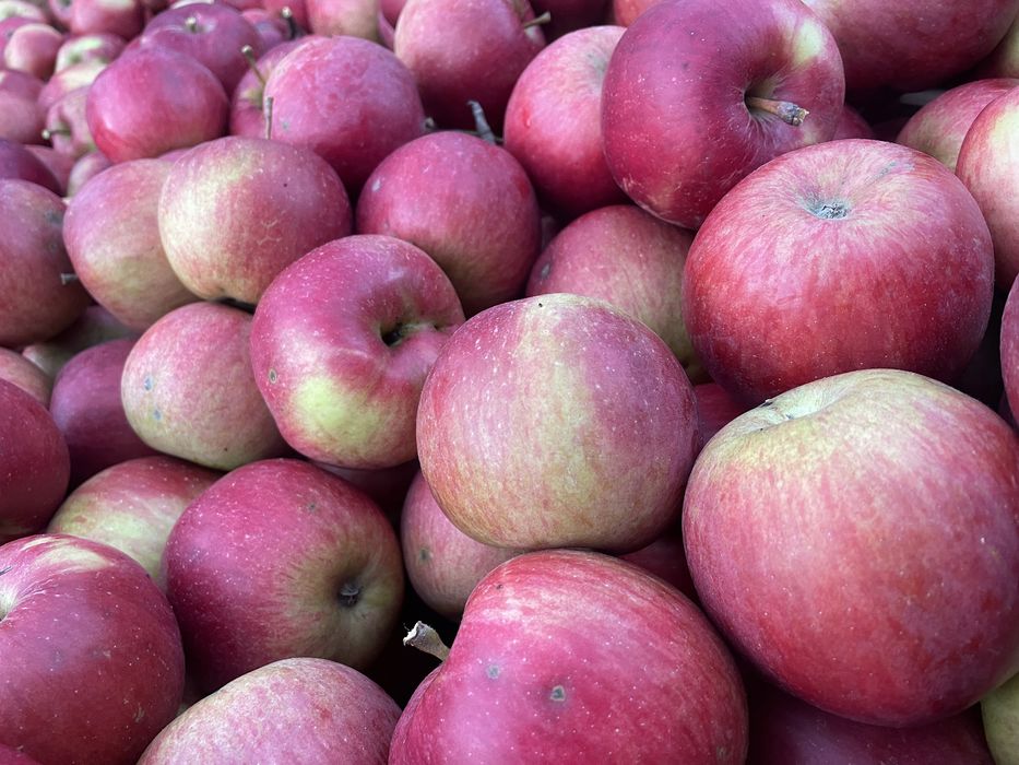 Jabłka Prosto od rolnika