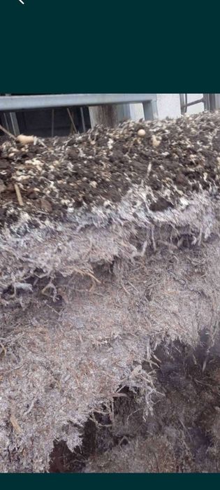 Добриво органічне з шампіньонів