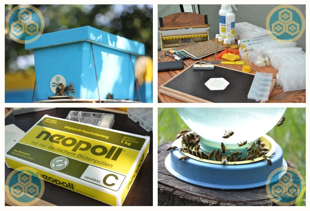 Пчеломатки / Бджоломатки