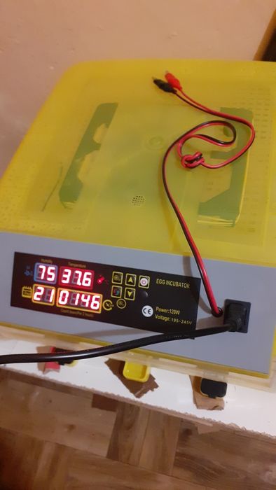 Inkubator do 112 jajek