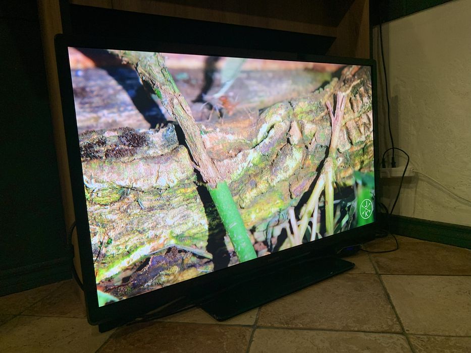 Телевізор philips 42