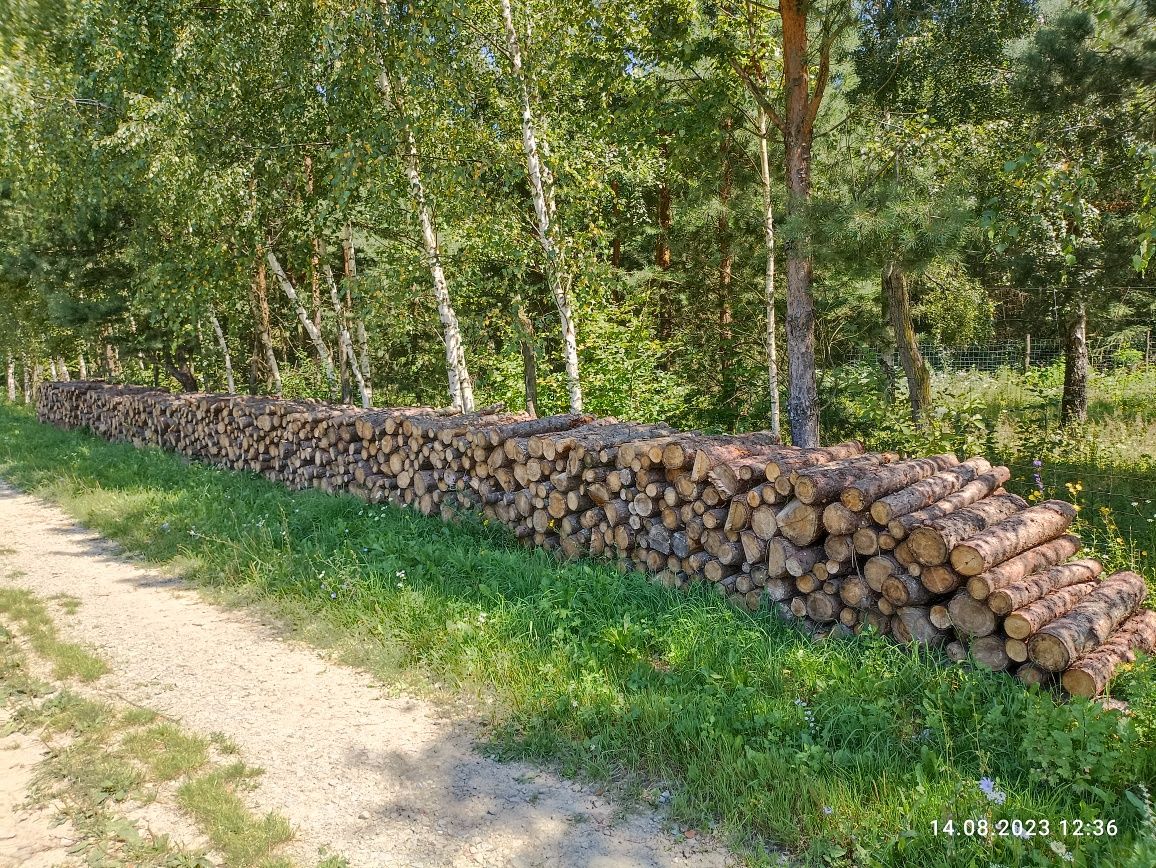 drewno opałowe, kominkowe