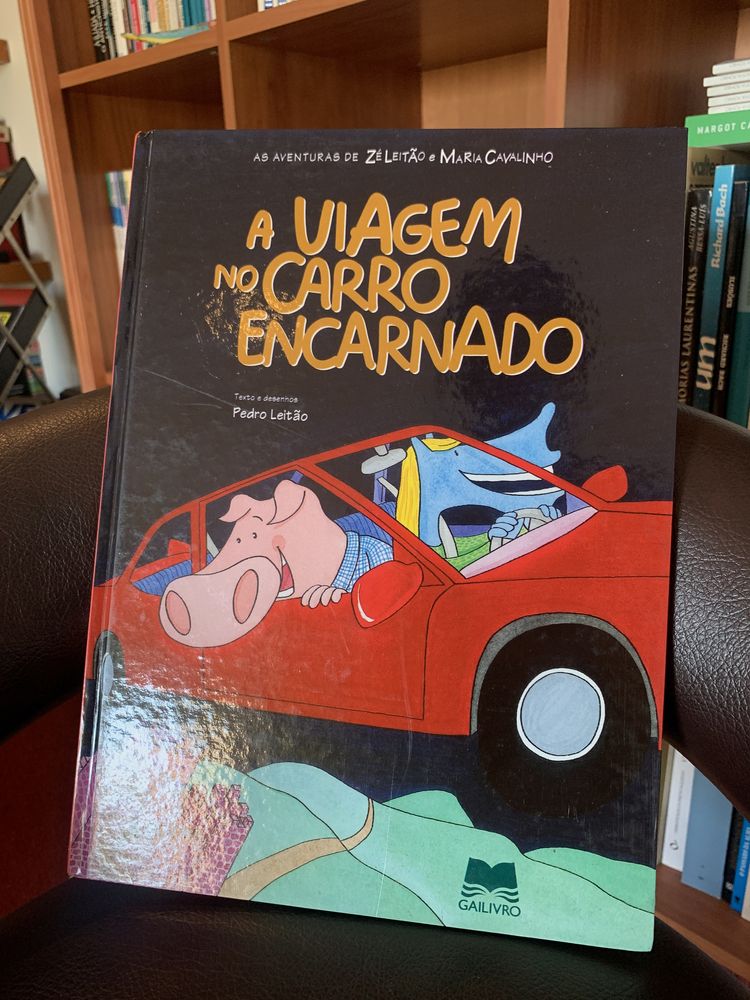 Livro infantil - A Viagem no Carro Encarnado
