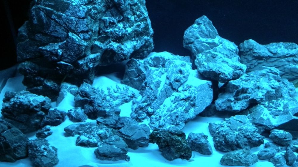 Aranzacja iwagumi unikalny kamien