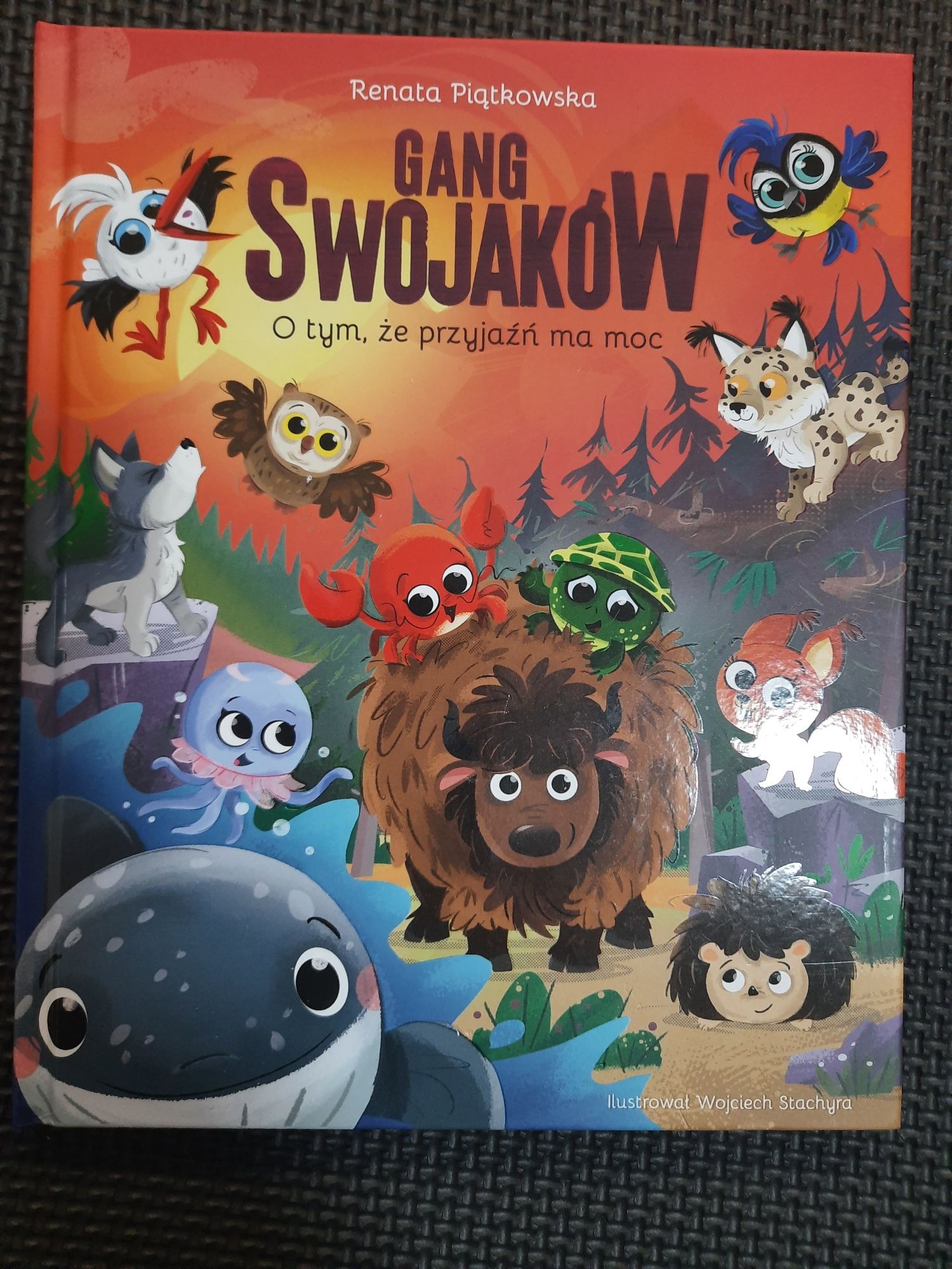Biedronka Swojaki Gang Swojaków przyjaźń ma moc cz 2 Renata Piątkowska