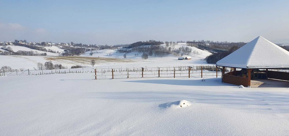 Klimatyczny domek na wynajem