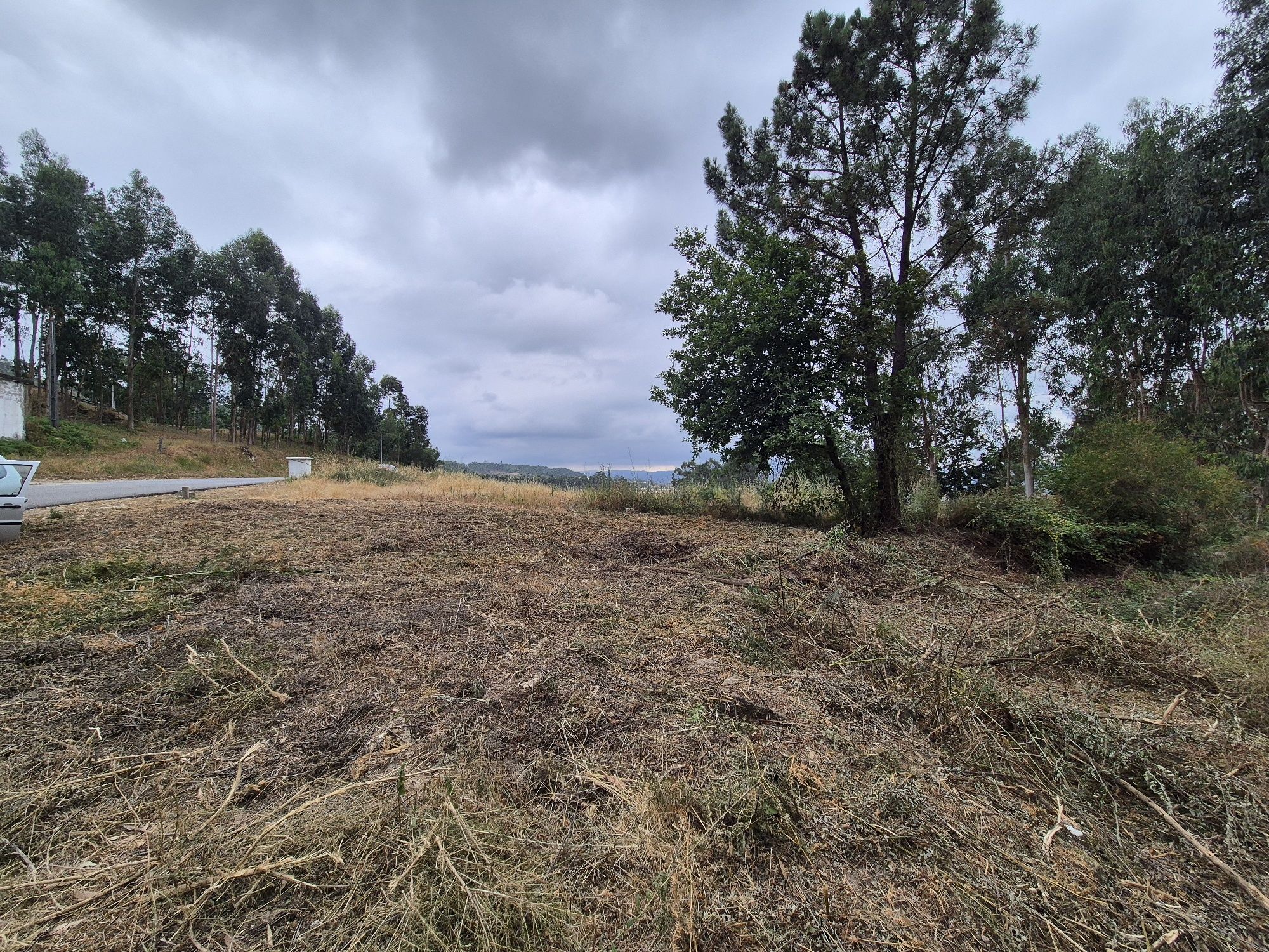 Terreno Rústico Construtivel