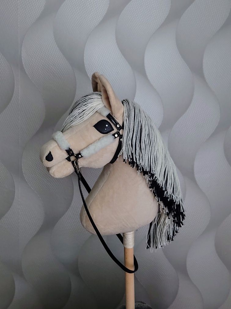 Hobby horse konik