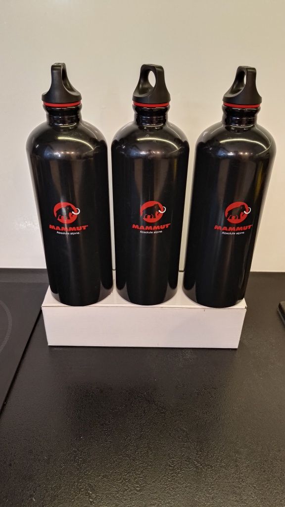 Butelka na wodę SIGG Mammut 1 l