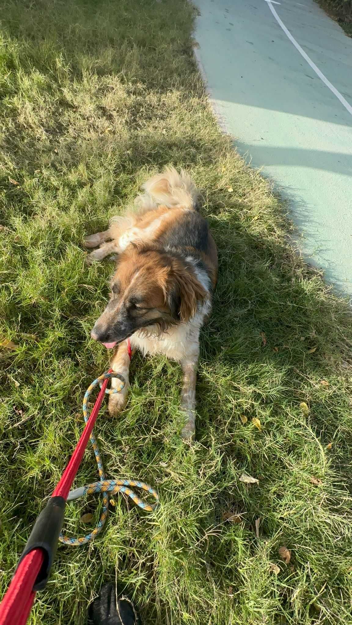 Layla, pozytywna dusza towarzystwa i kompan podróży