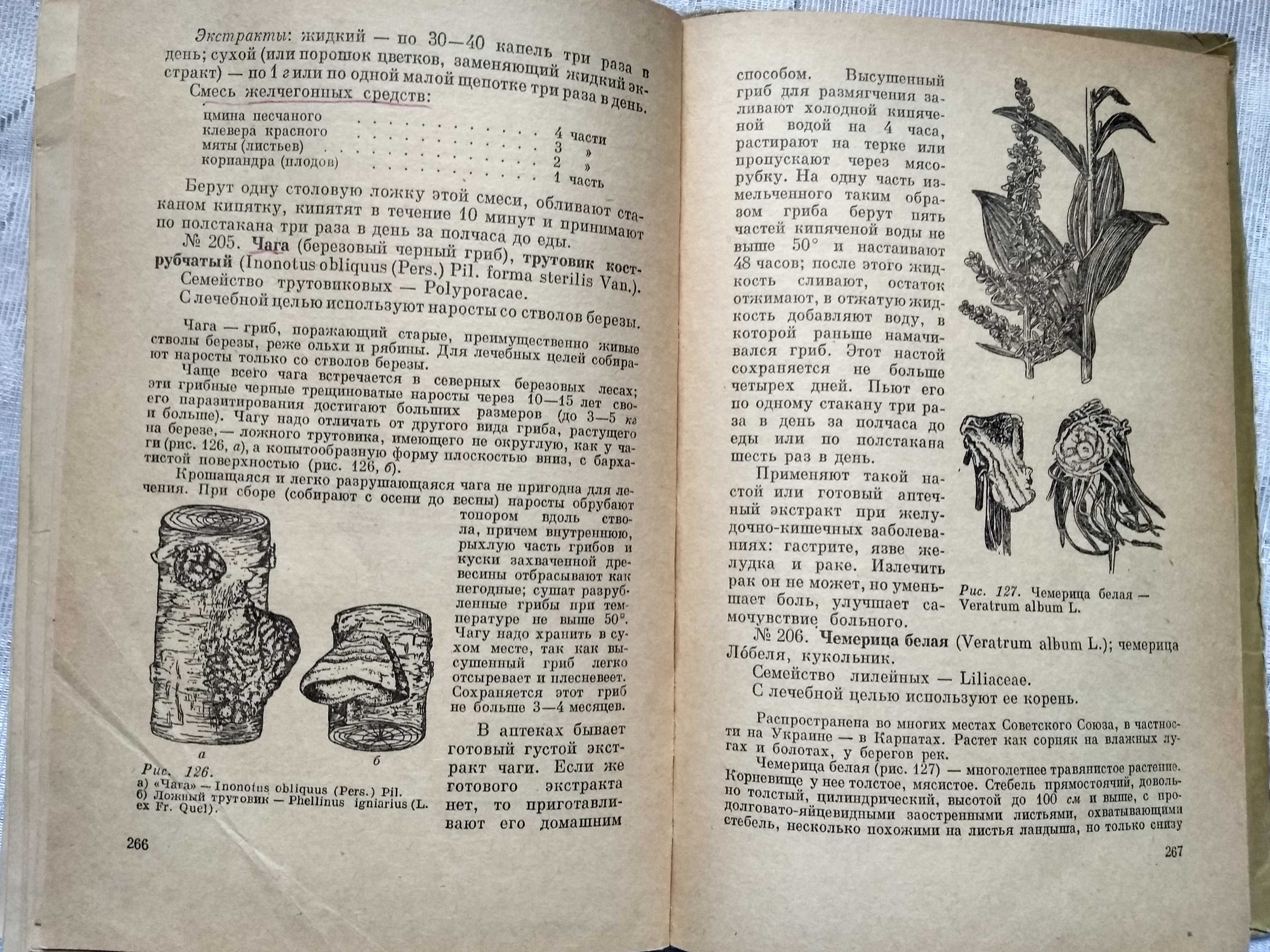 Попов А.П. Лекарственные растения в народной медицине