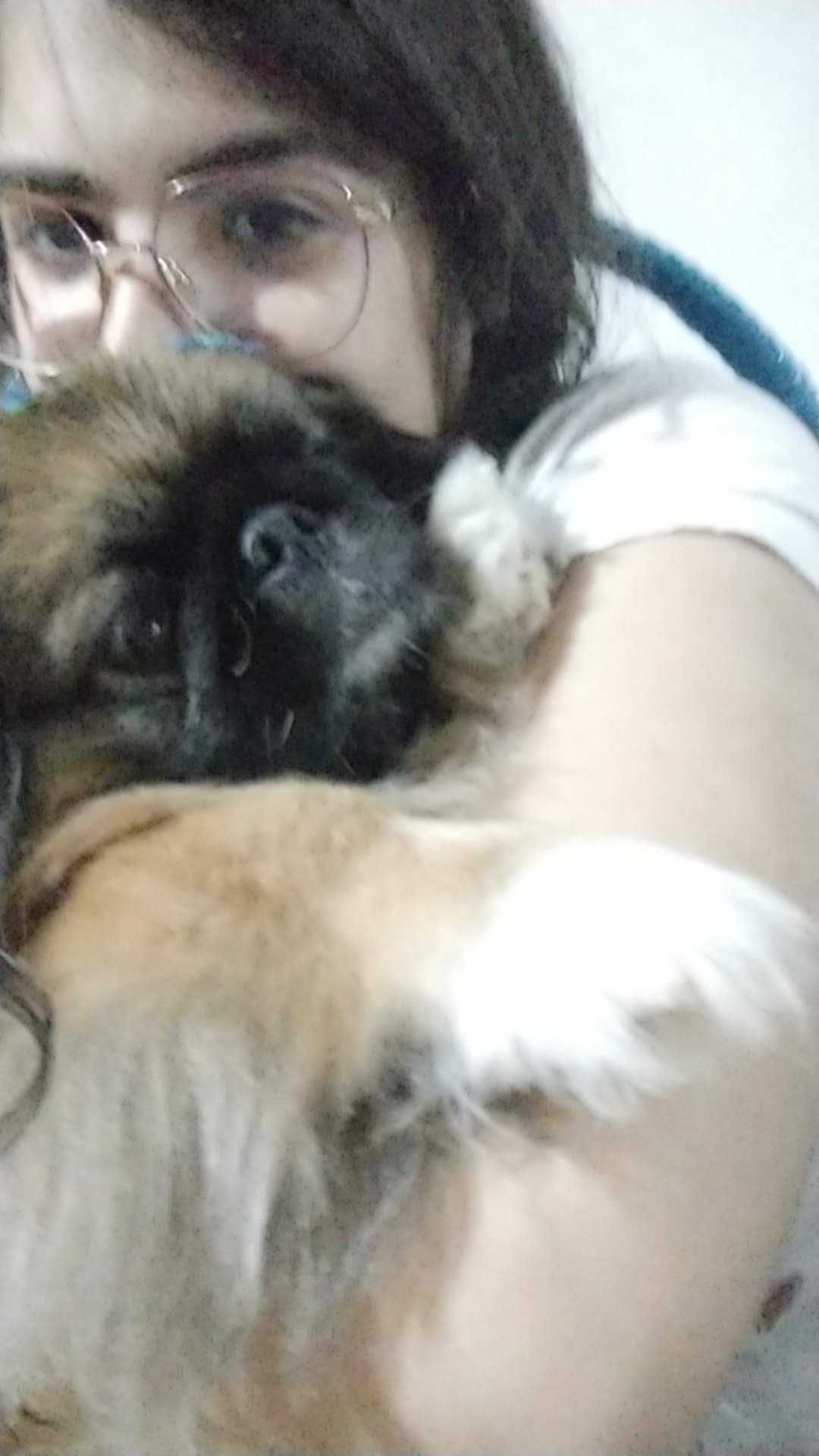 Pet Sitter e Passeios com muito carinho