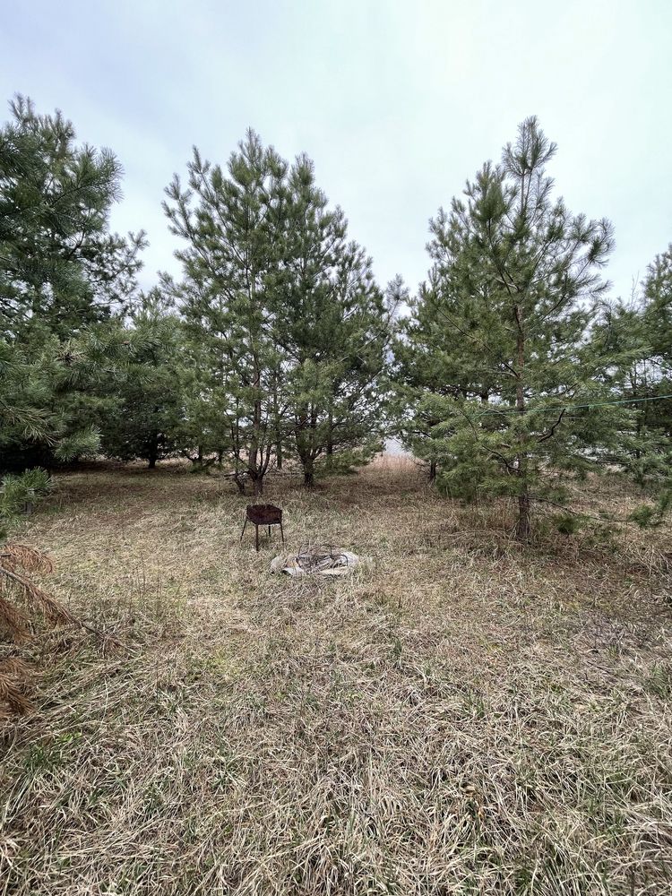 Бобриця-Боярка-Білогородка продам ділянку 10 соток заведено 15 кВт