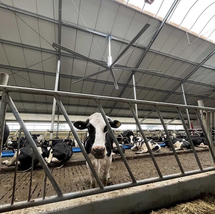 Destryfikator HELI HVLS wydajny mieszacz powietrza 2,4 - 7,3m