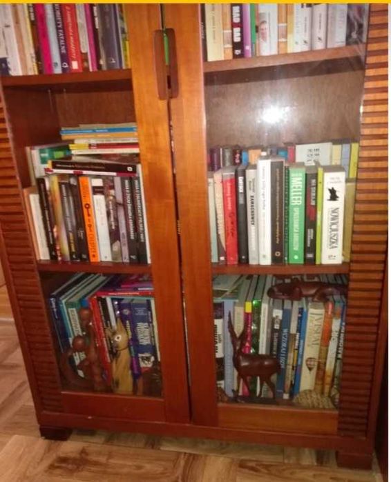 Witryna oszklona,biblioteczka, barek