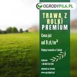 Trawa z rolki Premium
