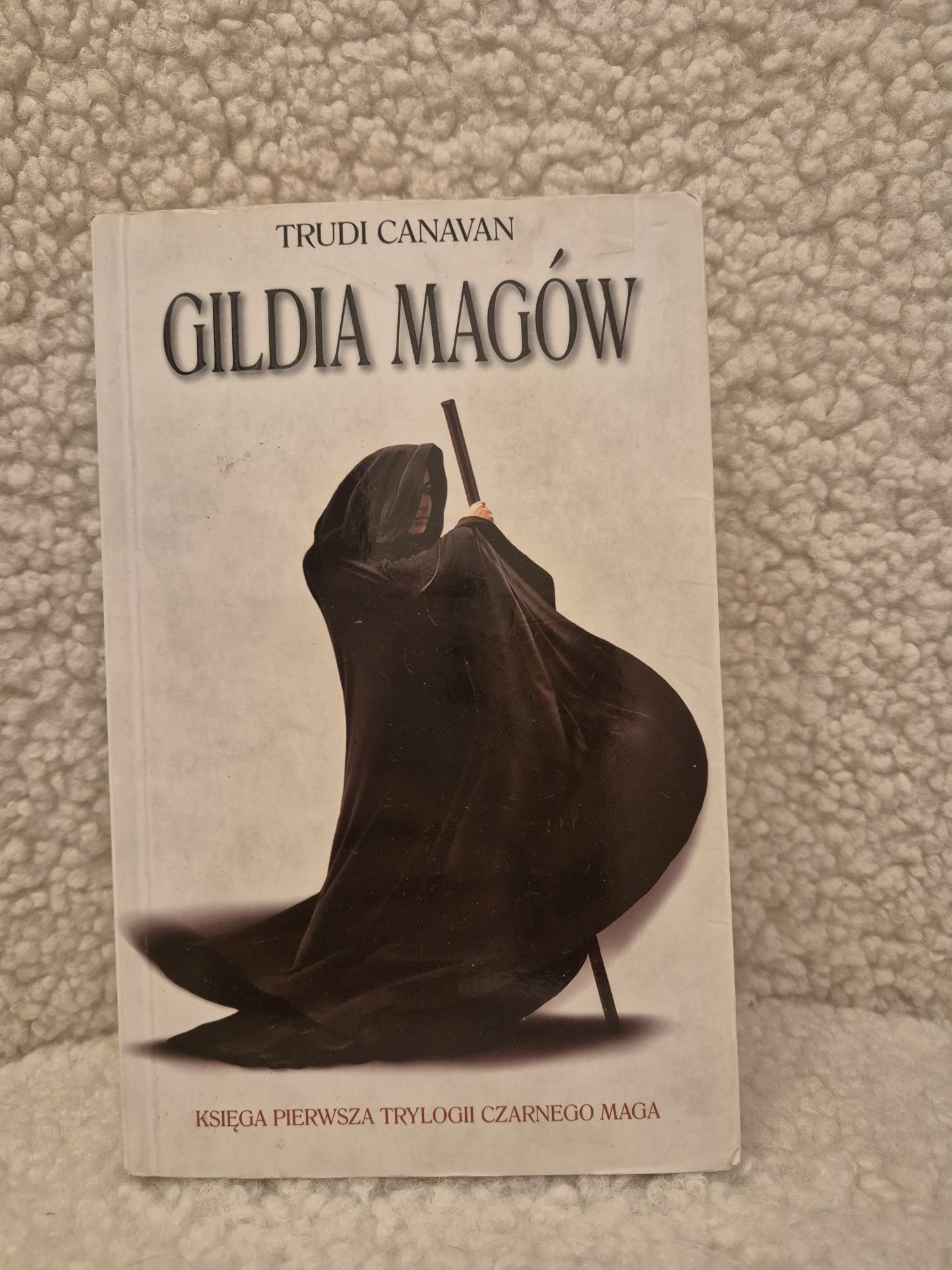 Gildia magów Trudi Canavan