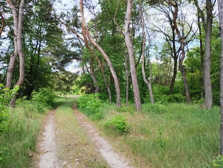 Ділянка під забудову в Лісі