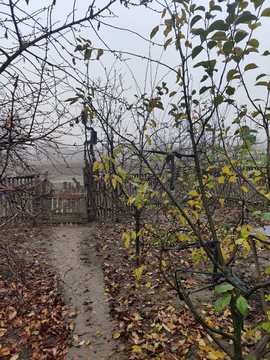 Будинок  в селі Оляниця