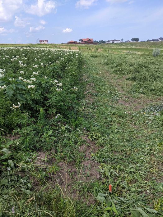 Продам земельну ділянку поблизу Рівного(Бармаки)