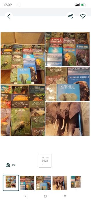 Большие книги о животных