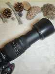 Sigma 70-300mm F4-5.6 DG Macro (Nikon AF)