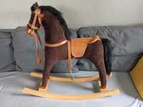 Konik na biegunach