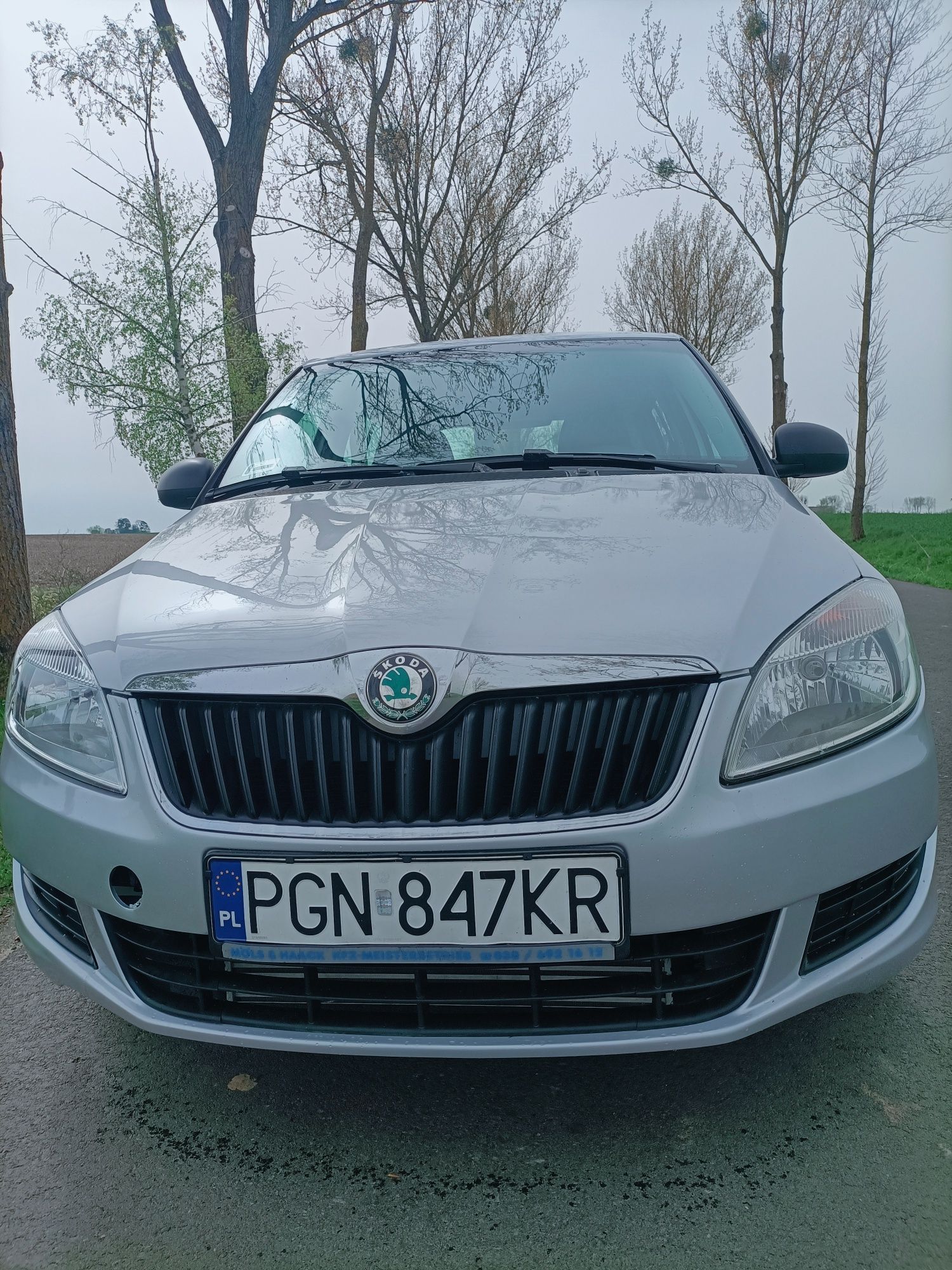 Sprzedaż Skoda Fabia