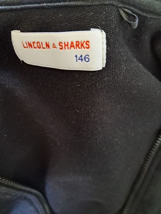 Bluza dla dziewczynki Lincoln&Sharks